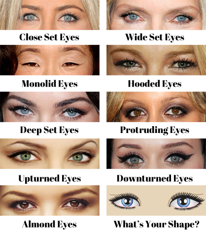 Eyeshadow Application Chart